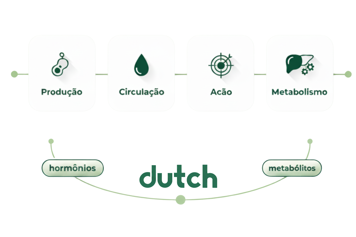 Etapas do ciclo hormonal: produção, circulação, ação e metabolismo, com hormônios e metabólitos medidos pelo DUTCH